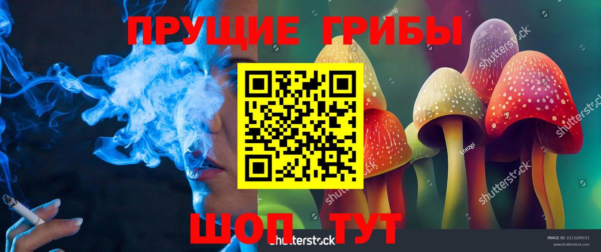 Рузаевка  Псилоцибиновые грибы Cubensis  Вход с VPN 