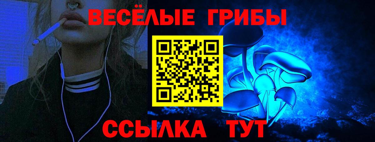 Псилоцибиновые грибы мицелий Рузаевка